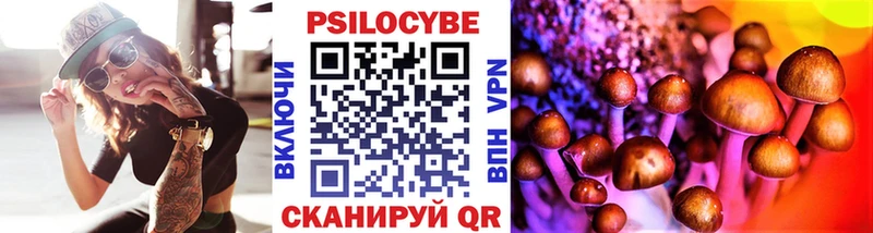 кракен   Андреаполь  Псилоцибиновые грибы MAGIC MUSHROOMS 